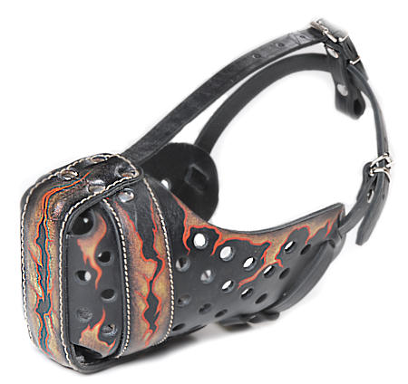 Hand painted by our artists leather Muzzle 'Dondi' Plus - FLAMES 