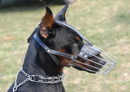 Basket Wire Dog Muzzle Light For Doberman