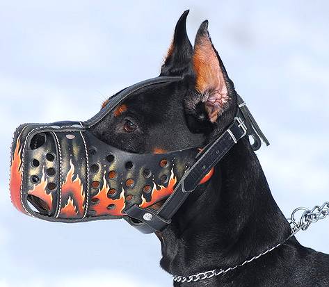 Painted dog muzzle shop