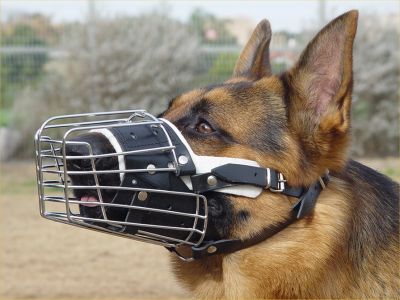 padded wire basket dog muzzle for GSD