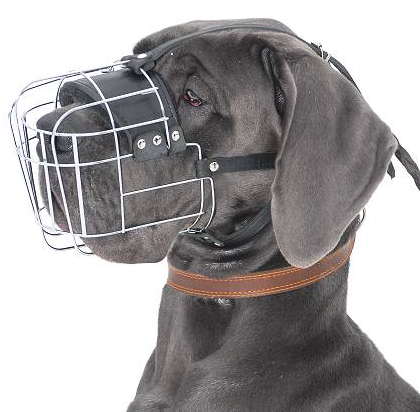 Great Dane Wire Basket Dog Muzzle