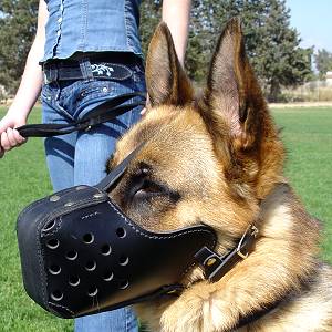 leather dog muzzle agitation attack police schutzhund
