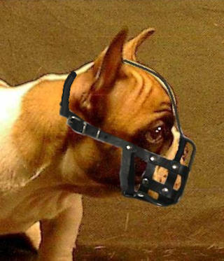 basket muzzle for french bulldog