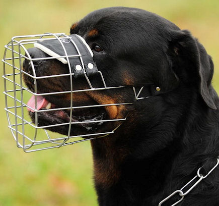 Rottweiler Wire Dog Muzzle with Padded Basket