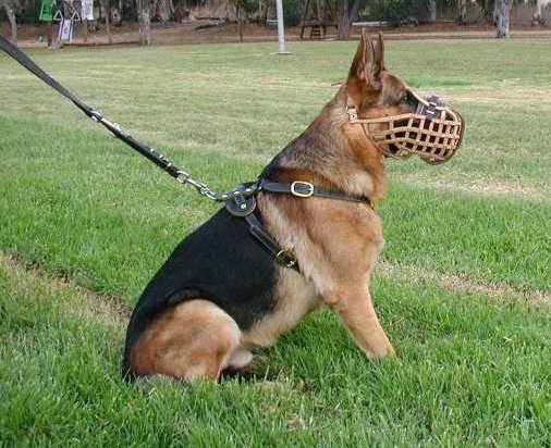 leather basket dog muzzle for German Shepherd or working dogs