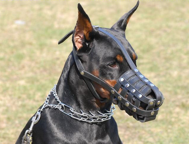 Everyday Light Weight Super Ventilation Doberman Muzzle