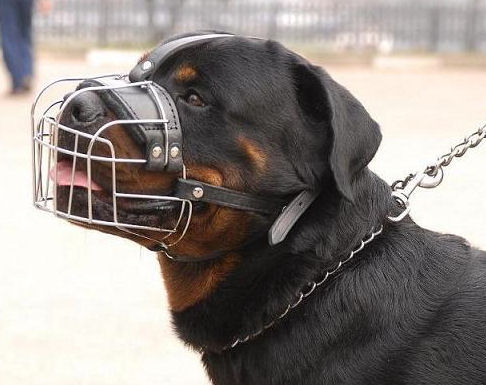 Rottweiler Wire Basket Dog Muzzle