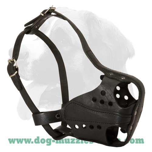 Agitation training muzzle