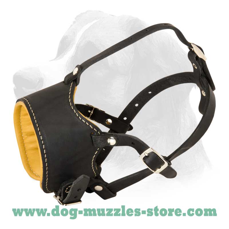 padded muzzle