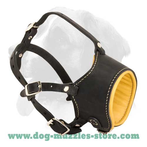 Extreme comfort leather muzzle