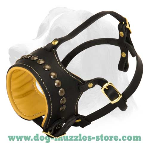 Comfortable decorated dog muzzle