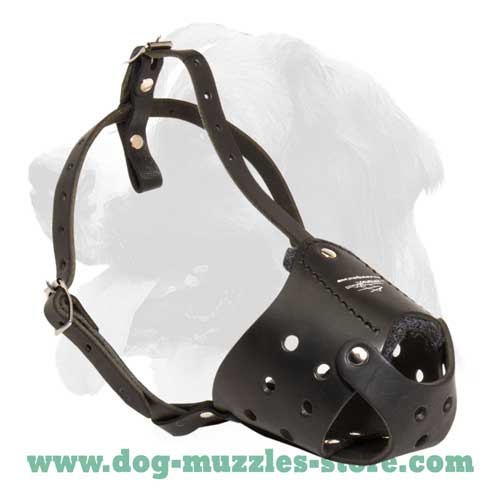 Soft strong leather dog muzzle