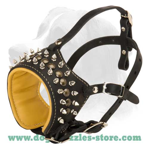 Decorated leather dog muzzle