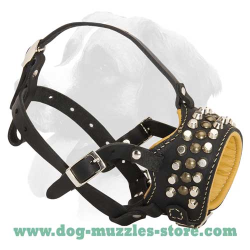 Great walking leather dog muzzle