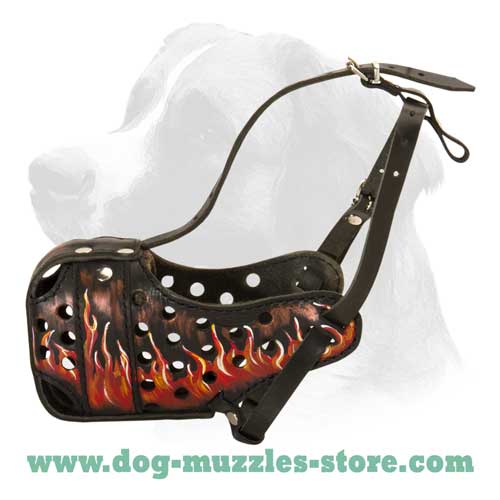 Best training dog muzzle