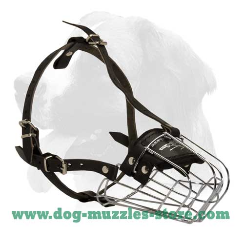 Training dog muzzle