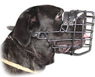 Best Fit Wire Dog Muzzle for Cane Corso