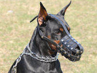 Everyday Light Weight Super Ventilation Doberman Muzzle