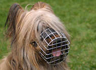 Wire Basket Dog Muzzle for Briard