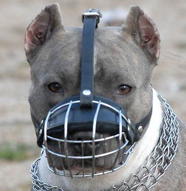Pitbull Wire Dog Muzzle - Wire Basket Dog Muzzle for Pit Bull