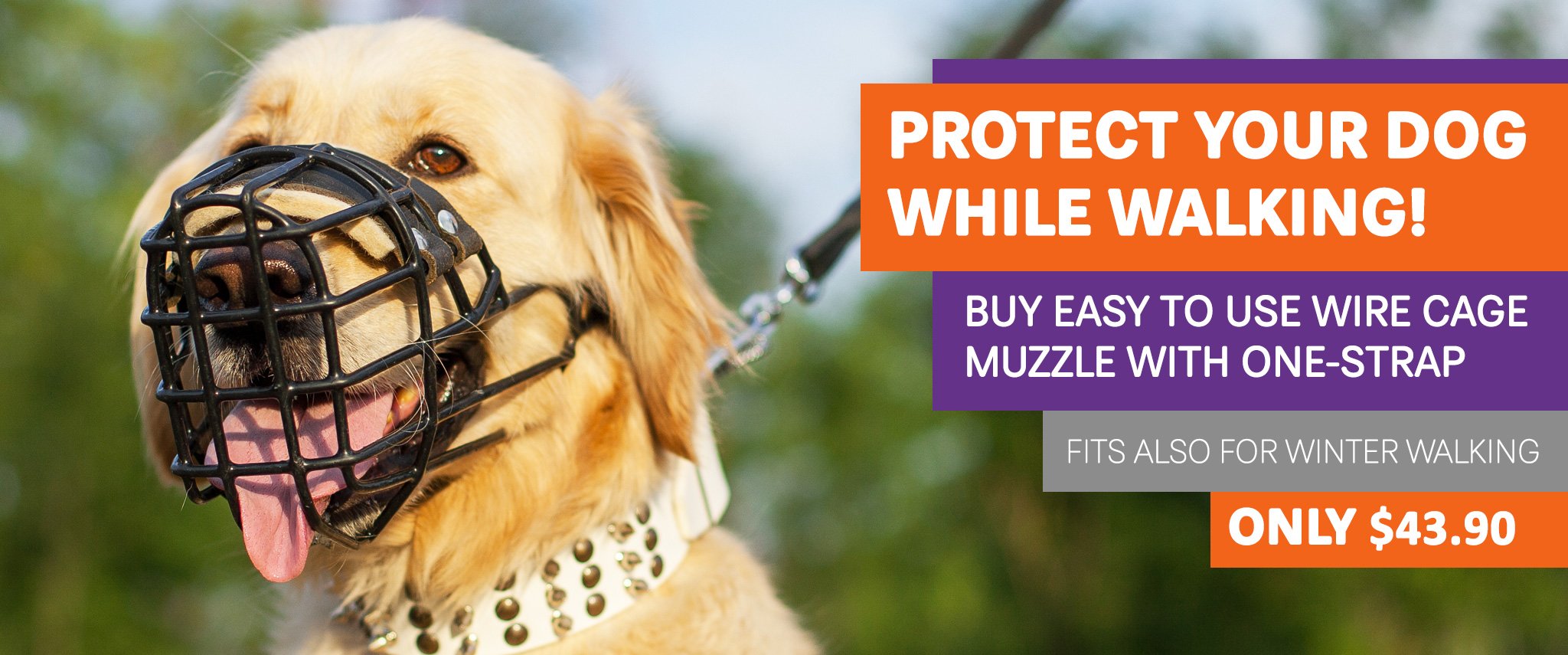 Dog muzzle, Leather dog muzzles, Wire dog muzzle, dog muzzle training